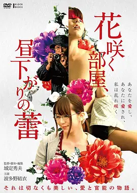 孤岛来信 文艺高清电影在线观看